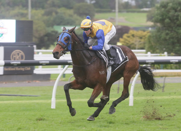 Atulibigeal wins his first stakes race in New Zealand.
