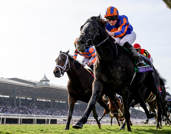 Auguste Rodin closed out his year with a win in the G1 BC Turf - image Breeders' Cup