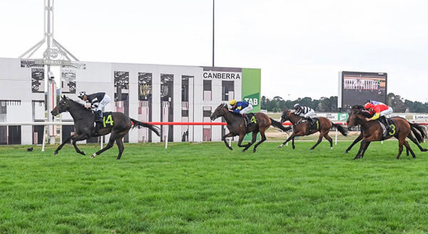 Autumn Ballet makes history in G3 Canberra Black Opal - Bradley Photography