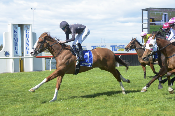 Flashy filly Autumn Blonde breaks the ice at Kembla on Saturday - image Bradley Photography 