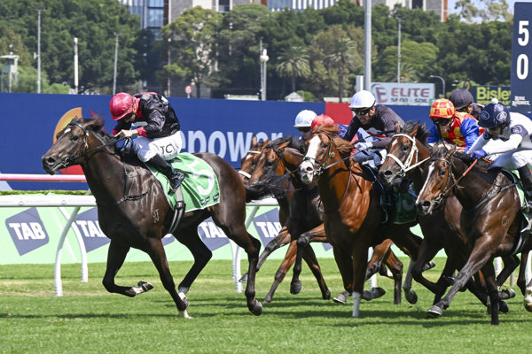 Autumn Blonde was in the mix with the best fillies finishing fourth here in the G2 Sweet Embrace Stakes - image Bradley Photography