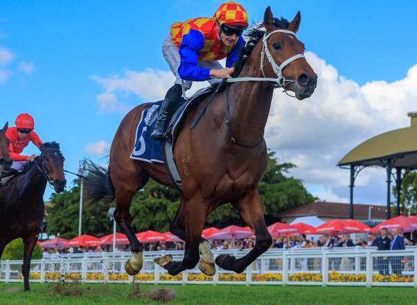 Autumn Boy might be a star on the rise - image Grant Courtney