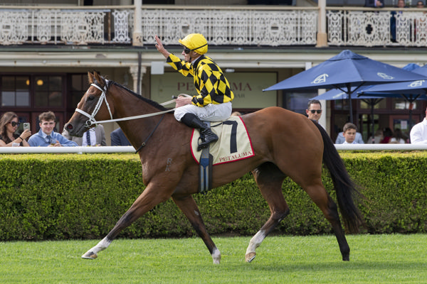 Autumn Glow returns from win number nine- how many more wins will she rack up in 2026 and in what races?  - image Bradley Photos