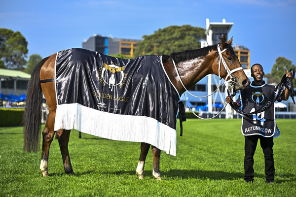 Autumn Glow has won $7.3million in prizemoney - image Bradley Photos