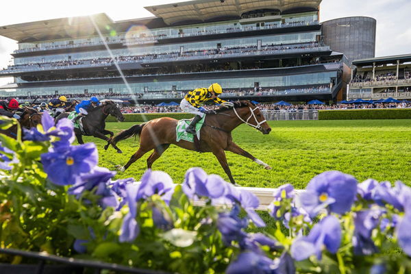 Autumn Glow Races Clear To Win The G1 Epsom Handicap (1600m) - Image Bradley Photos