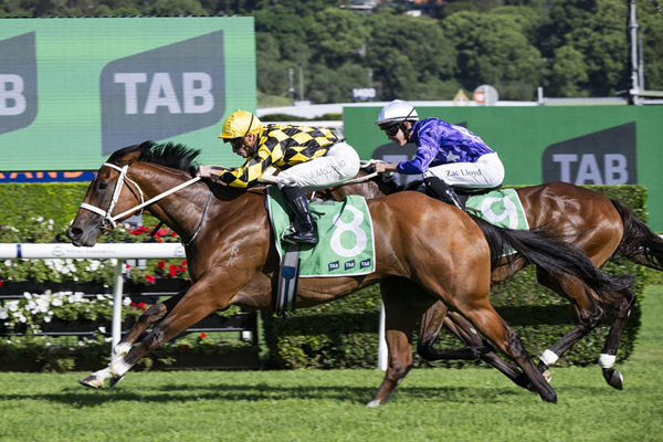 Unbeaten, going ten from ten - Autumn Glow wins the G1 Verry Elleegant Stakes - Image Bradley Photos