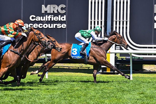 G2 Success For The Autumn Sun's Autumn Mystery - Image Reg Ryan/Racing Photo