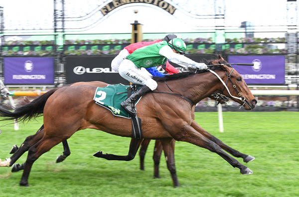 Autumn Myster breaks his maiden - image Brett Holburt / Racing Photos