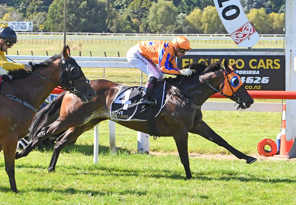 Avantage (inner) is at full stretch to hold out Callsign Mav in the Gr.1 El Cheapo Cars Weight-For-Age Classic (1600m) at Otaki Photo Credit: Race Images – Peter Rubery