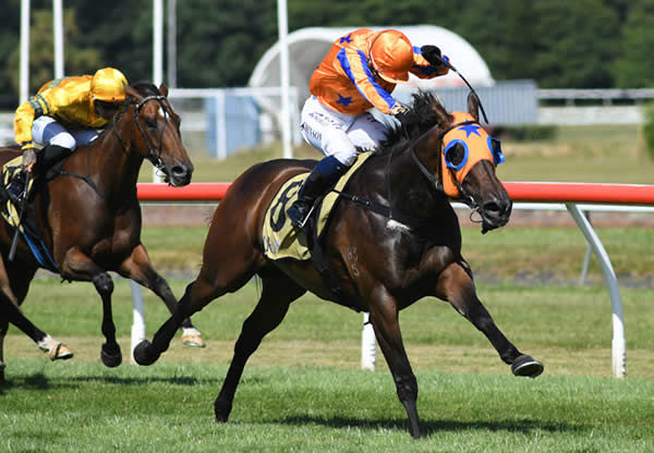 Avantage makes it Group One win number six as she takes out the Gr.1 JR & N Berkett Telegraph (1200m) at Trentham Photo Credit: Race Images – Peter Rubery