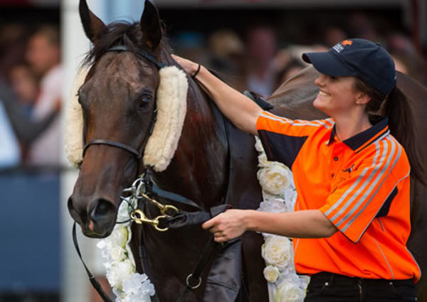 The horse is always top of mind for people who work in the thoroughbred industry. Photo: Sharon Chapman