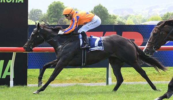 Avantaggia winning the Donaghys Moxipor (1150m) at Te Aroha on Wednesday.  Photo: Kenton Wright (Race Images)