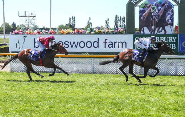 Avonallo stretches away from rival Follow Your Dreams to take out the Listed Welcome Stakes Photo Credit: Race Images South