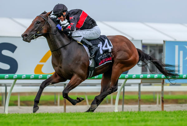 Away Game strides home in the Magic Millions 2yo Classic - image Grant Courtney