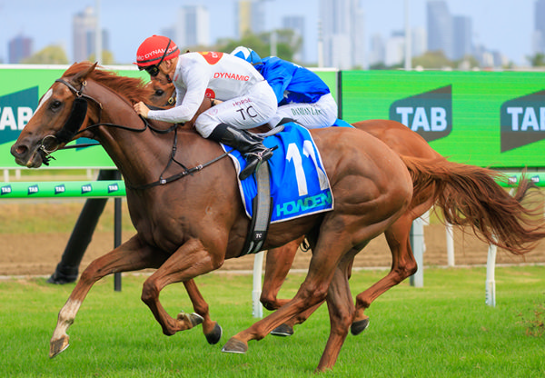 Axius wins the $1million MM Snippets - image Grant Courtney