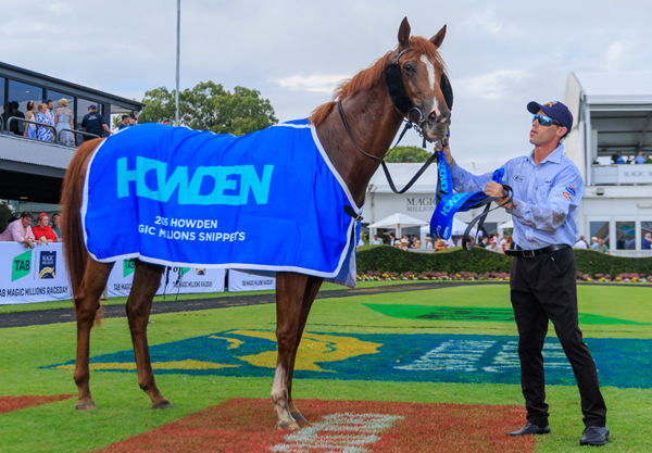 Axius has won over $850,000 in prizemoney - image Grant Courtney 