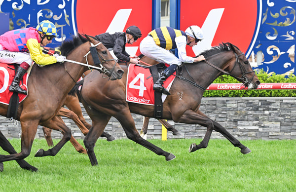 Azazel ridden by Michael Dee wins the Geelong Classic. (Reg RyanRacing Photos)