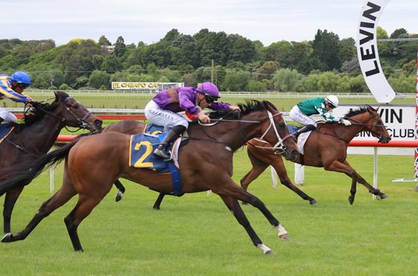 Azeezle holds out the flying finish of Platinum Attack to win the Levin Truck Services Levin Stakes (1200m) at Otaki.   Photo: Peter Rubery (Race Images Palmerston North)