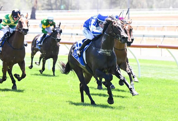 Azzacool wins at Seymour - image Pat Scala / Racing Photos