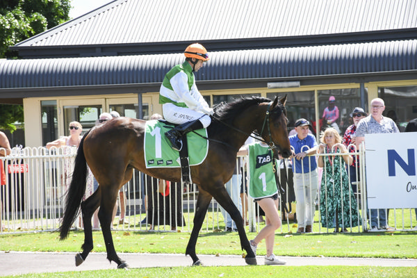 Baby Ryan all grown up! - image Bradley Photos