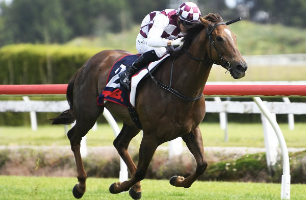 Babylon Berlin winning Saturday's Listed Legacy Lodge Sprint (1200m) at Te Rapa.   Photo: Kenton Wright (Race Images)