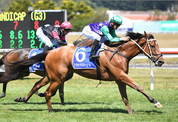 Bankers Choice defeats Coventina Bay to win the Gr.3 Dixon & Dunlop Anniversary Handicap (1600m) at Trentham Photo Credit: Race Images – Peter Rubery