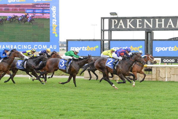 Barbaric Lad charges late to catch She Smashes on the line - image Ross Holburt/ Race Photos 