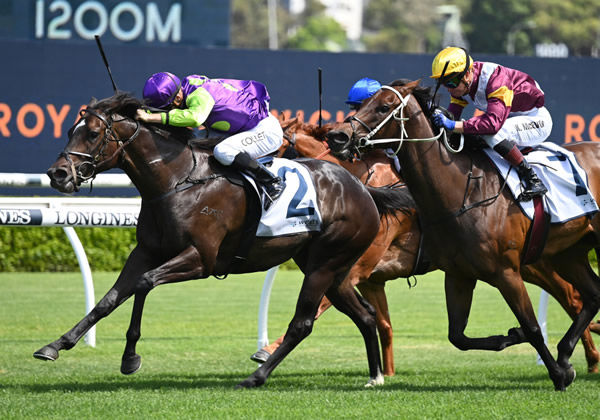 Barossa Rosa makes it a double for Adelaide (IRE) - image Steve Hart 
