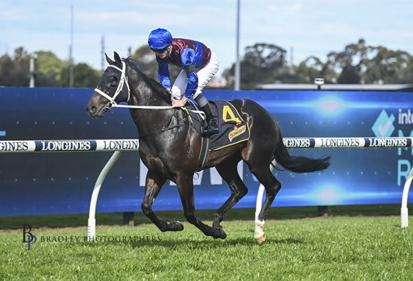 Basquiat is a talented colt by Snitzel that topped the 2021 Magic Millions Yearling Sale.. 