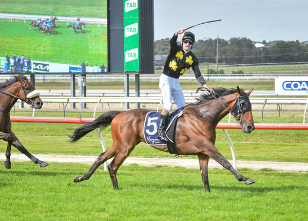 Bastida won the Jericho Cup last year.