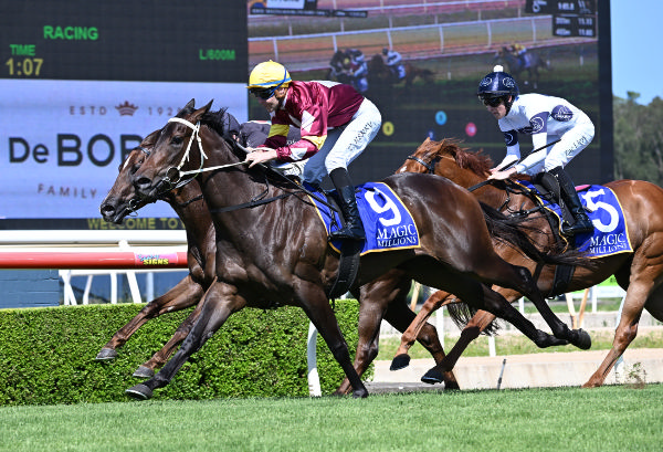 Bauhinia breaks the track record at Wyong - image Steve Hart