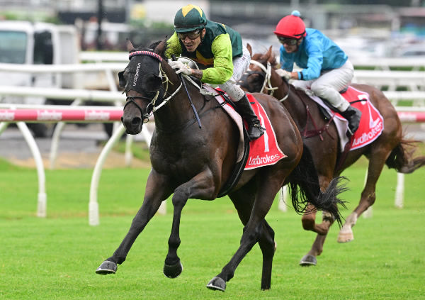 Beau Dazzler scores a strong victory in the Gr.3 Grand Prix Stakes (1800m) at Eagle Farm on Saturday. Photo: Grant Peters