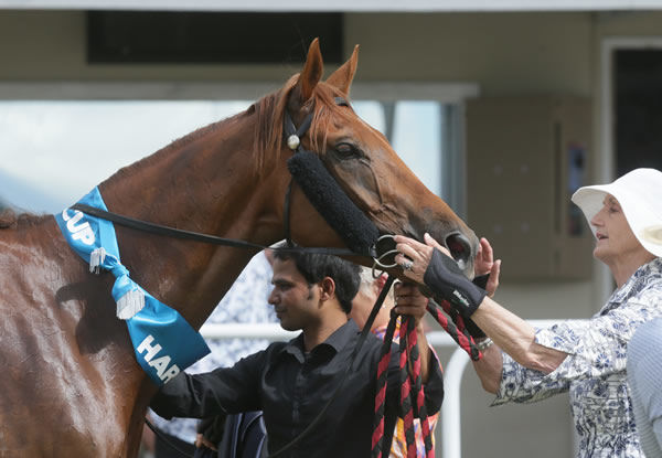 Beauden with owner Joan Egan. Photo: Trish Dunell