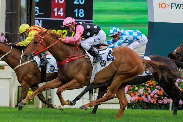 Beauty Eternal wins his first stakes race in the Lion Rock Trophy - image HKJC