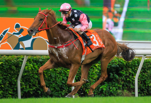 Beauty Eternal claims his first G1 victory -image Grant Courtney