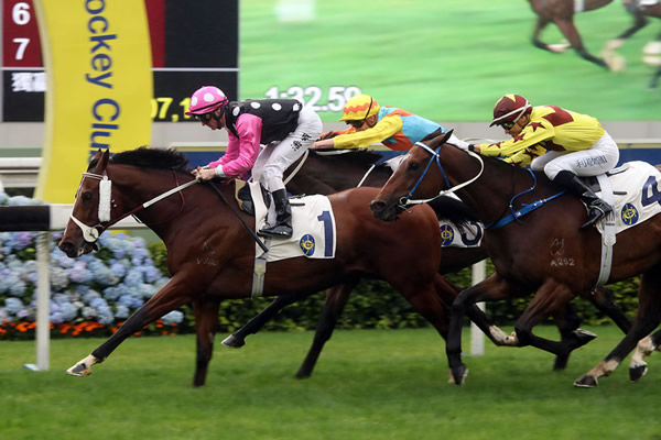 Beauty Generation racks up his 20th win - image HKJC