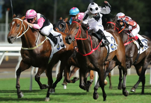 Jungle Magnate is now racing as Beautyverse, wins in the pink colours on the inside - image HKJC 