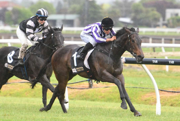 Bedtime Story will contest the Gr.3 Inglis Sales Cambridge Breeders’ Stakes (1200m) at Te Rapa on Saturday.  Photo: Race Images Palmerston North