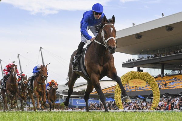 Beiwacht thrashes his rivals in the G1 Golden Rose - image Bradley Photography