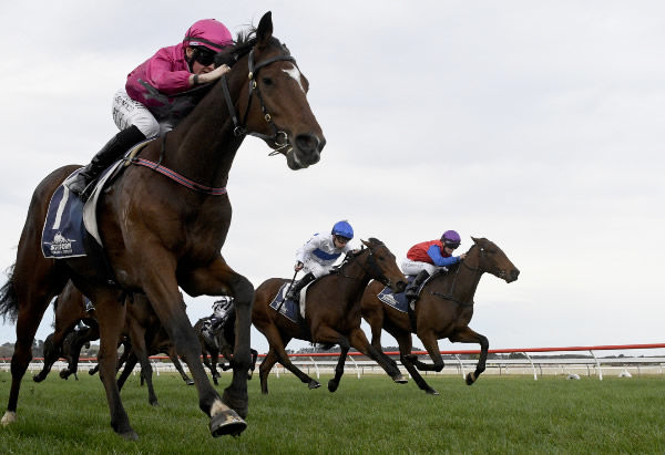 Belardi (outside) pulls away to win the Listed John Turkington Forestry Castletown Stakes (1200m) at Wanganui.  Photo: Peter Rubery (Race Images Palmerston North)