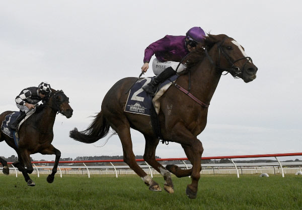 Belardo Boy powers through the heavy conditions to win the Listed AGC Training Stakes (1600m) at Wanganui.   Photo: Peter Rubery (Race Images Palmerston North)