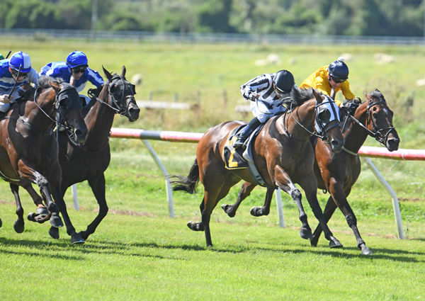 Belclare (black & white stripes) and Michael McNab finish resolutely to take out the Listed Clubs NZ Wairarapa Thoroughbred Breeders’ Stakes (1600m) Photo Credit: Race Images – Peter Rubery