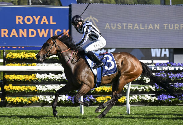 Belclare (NZ) gets the cash in the $2million The Invitation - image Steve Hart 