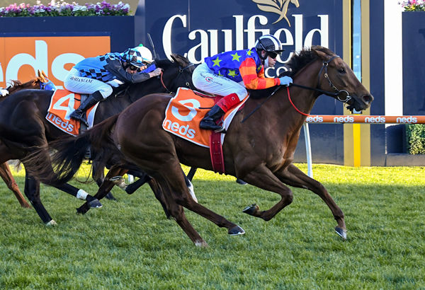 $1.5million earner Longwood Thoroughbreds flagbearer Bella Nipotina has a half-brother to be offered at Inglis Easter - image Racing Photos 