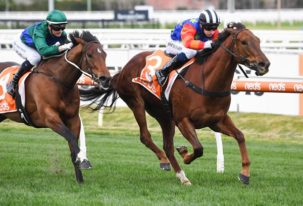 Bella Nipotina wins at Caulfield - image Pat Scale / Racing Photos