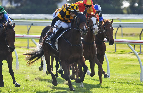 Bella Waters winning the Listed Campbell Infrastructure Rotorua Cup (2200m) at Arawa Park on Saturday.  Photo: Kenton Wright (Race Images)