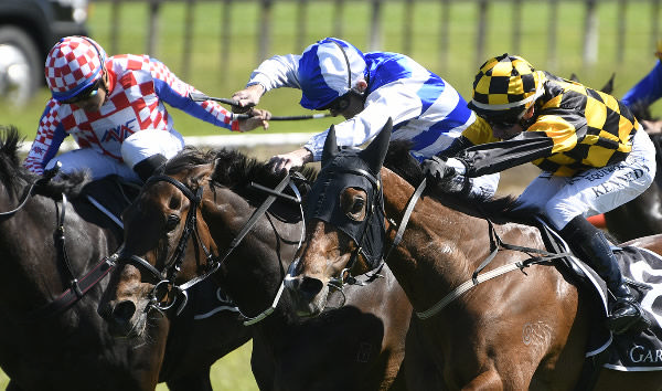 Bella Waters (outside) winning the Gr.2 Gartshore Tauranga Stakes (1600m) on Saturday.  Photo: Kenton Wright (Race Images)