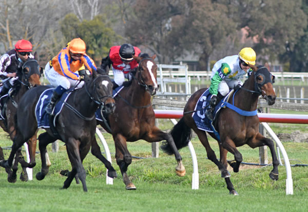 Bellacontte (right) charges home along the inner to take out the Gr.3 Hawke’s Bay Breeders’ Gold Trail Stakes (1200m) at Hastings Photo Credit: Race Images – Peter Rubery