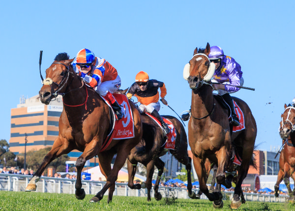 Bellatrix Star zooms past her rivals to win the G2 Schillaci - image Grant Courtney