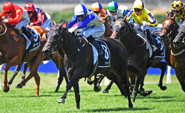 Belle Cheval winning the Gr.3 Eagle Technology Uncle Remus Stakes (1400m). Photo: Kenton Wright (Race Images)
